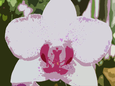 Logo von grandmasorchids